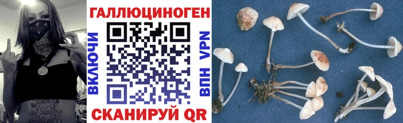 Псилоцибиновые грибы прущие грибы  наркошоп  ссылка на мегу вход  Ладушкин 